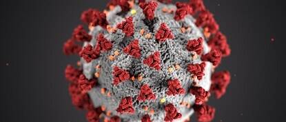 Coronavirus